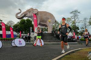 BIB: 
                            <button type="button" onclick="openModal(26528513)" class="btn btn-primary btn-sm float-right btn-popup" data-toggle="modal" data-target=".modal-high-quality">
                        <i class="fas fa-shopping-cart"></i> Add to Cart
                    </button>
                                            <button type="button" onclick="isThisMe(26528513, true)" class="btn btn-success btn-sm float-right btn-popup btn-isme hidden" data-toggle="tooltip" data-placement="bottom" title="นี่คือรูปของคุณใช่ไหม คลิกที่นี่เพื่อเอาเข้าอัลบั้ม">
                        <i class="fas fa-plus"></i> Add to album
                    </button>
                    <button type="button" onclick="isThisMe(26528513, false)" class="btn btn-warning btn-sm float-right btn-popup btn-isnotme hidden">
                        <i class="fas fa-ban"></i> Remove from album
                    </button>